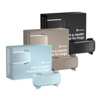 Tractive DOG 6 Tracker für Hunde, Schwarz