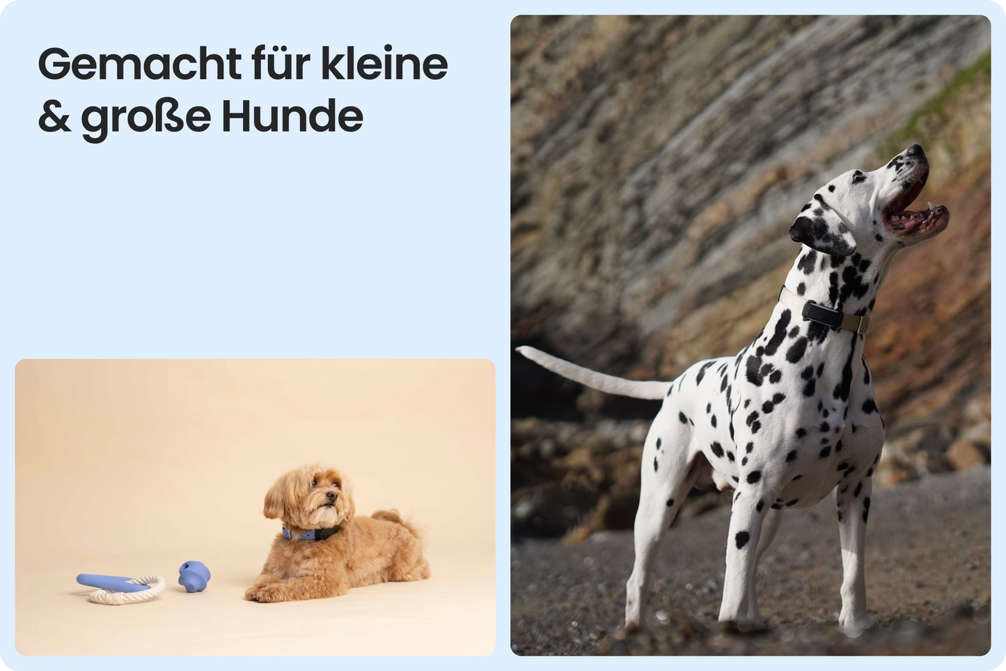 Tractive DOG 6 Tracker für Hunde, Schwarz