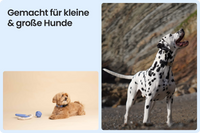 Tractive DOG 6 Tracker für Hunde, Schwarz