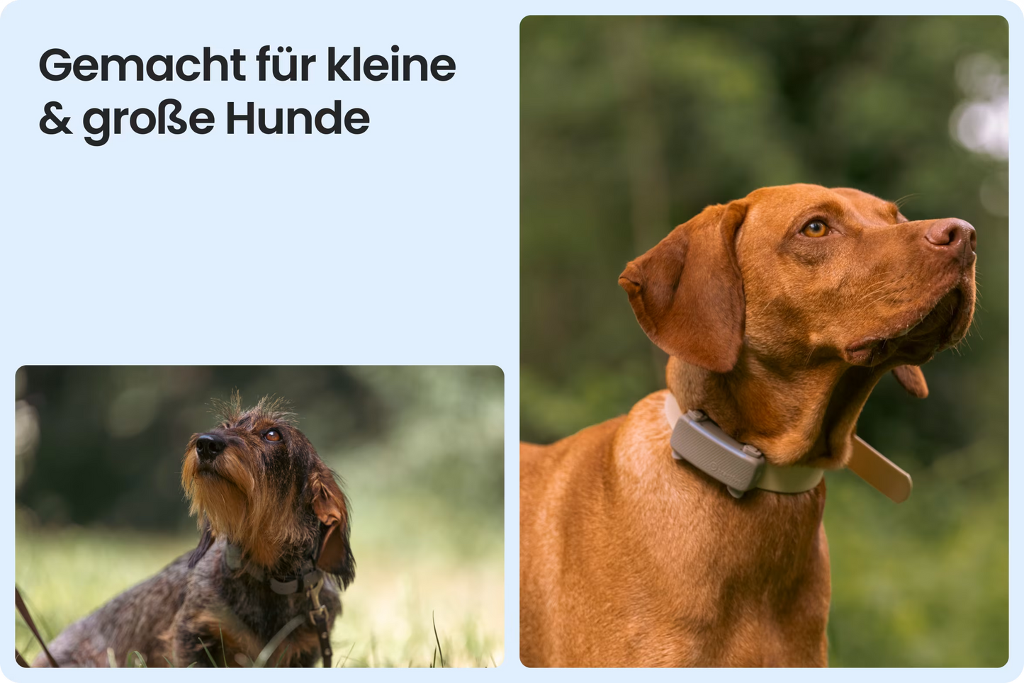 Tractive DOG 6 Tracker für Hunde, Braun