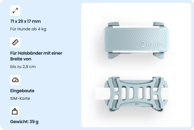 Sichere dir ein sorgenfreies Leben mit deinem Hund!