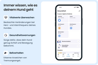 Tractive DOG 6 Tracker für Hunde, Mint