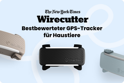 Tractive DOG 6 Tracker für Hunde, Mint